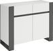 Comoda Combo 1000х788х421 grafit/alb 1306 фото